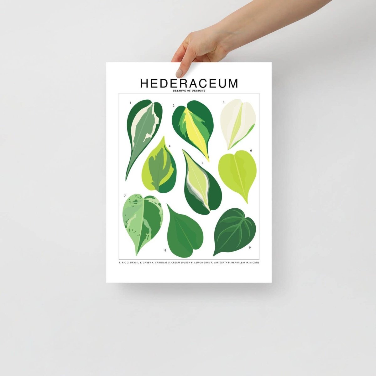 Hederaceum Houseplant Art Print | Unique Design  Ed's Plant Shop