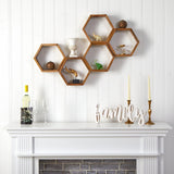 Honeycomb Floating Shelf for Plants: Modern & Functional Décor - Ed's Plant Shop