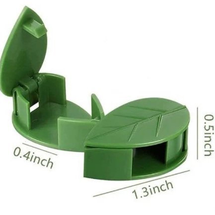 indoor climbing plant wall clips Plant Wall Clips - Self-Adhesive Plant Training Tool