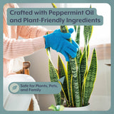 Houseplant DEFENSE Bundle | Natural Pest Control + Gloves + Spray Bottle - Ed's Plant Shop