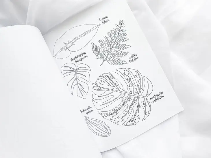 Houseplant Lover Coloring Book - Ed's Plant Shop