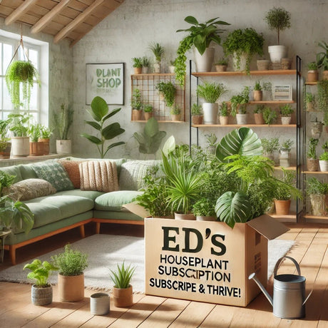 Houseplant Subscription - Subscribe & Thrive! - Ed's Plant Shop