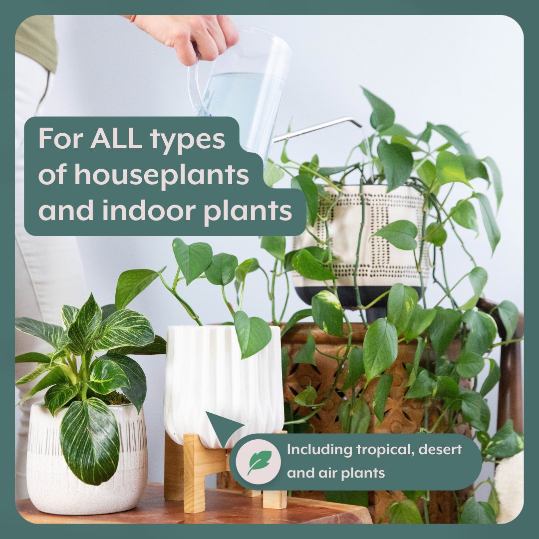 Instant Plant Food - Complete Plant Care Bundle for HOUSEPLANTS - Ed's Plant Shop