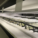 Integrated Dual T8 2FT LED Grow Light (40W Eqv.) – Sun White Pro Spectrum - Ed's Plant Shop