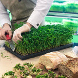 Integrated Dual T8 2FT LED Grow Light (40W Eqv.) – Sun White Pro Spectrum - Ed's Plant Shop