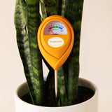 Jungle Club Soil Moisture Meter | Accurate, Battery - Free Plant Care - Ed's Plant Shop