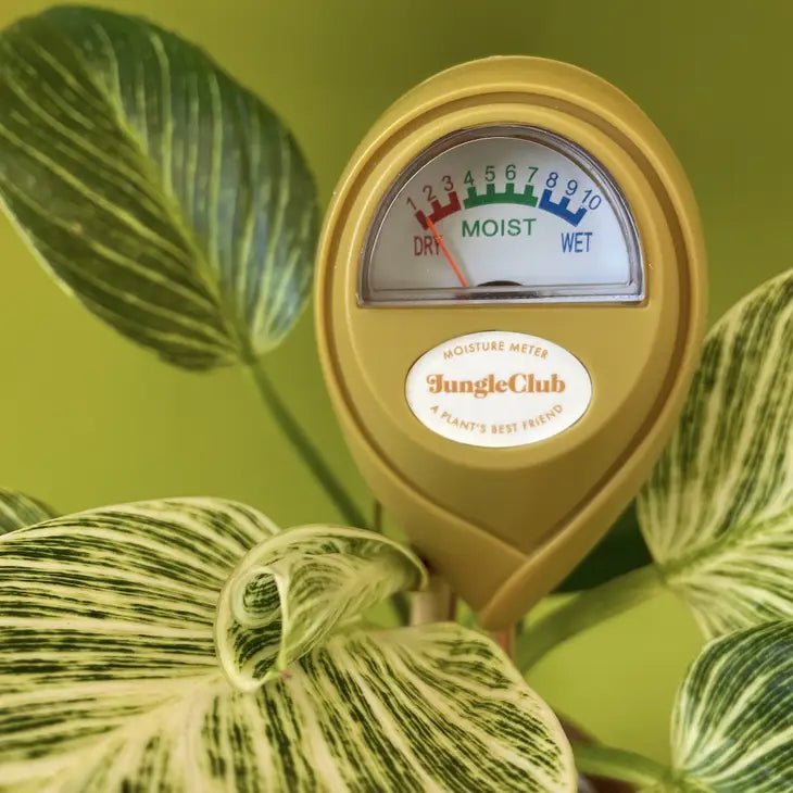 Jungle Club Soil Moisture Meter | Accurate, Battery - Free Plant Care - Ed's Plant Shop