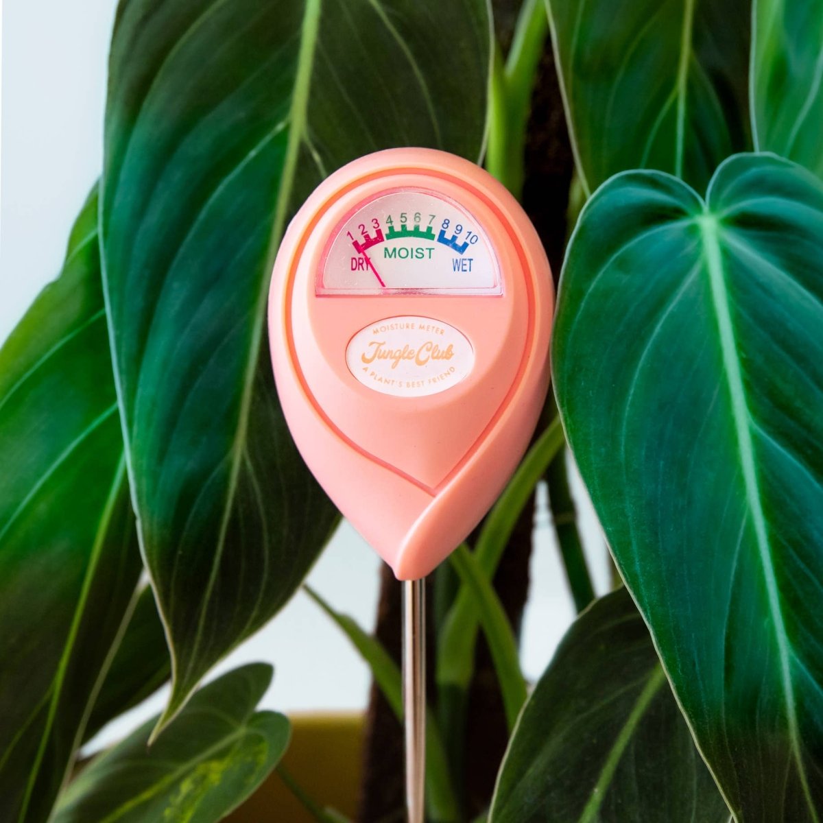 Jungle Club Soil Moisture Meter | Accurate, Battery - Free Plant Care - Ed's Plant Shop