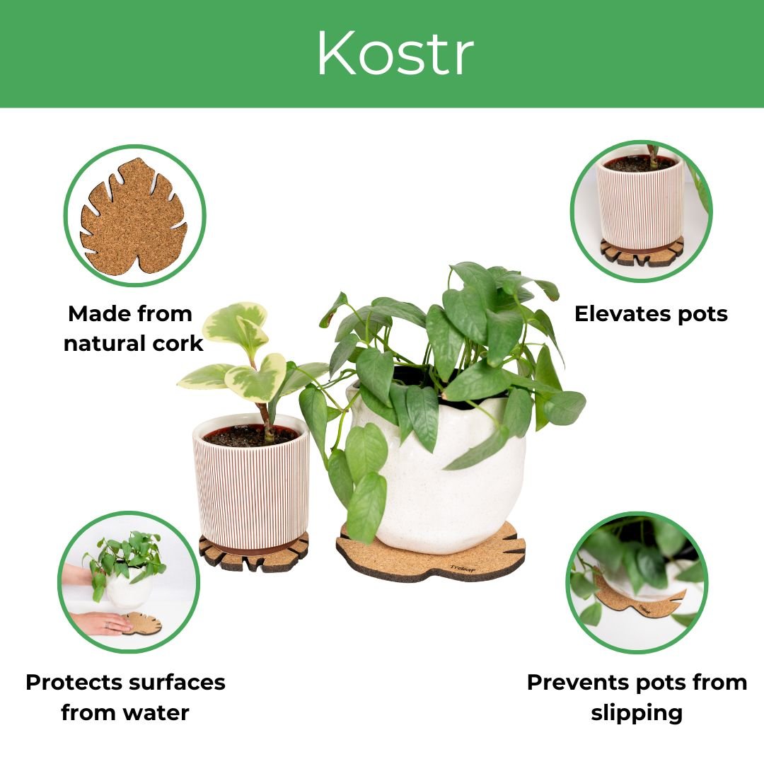 Kostr™ – Set of 4 Sustainable Cork Plant Coasters - Ed's Plant Shop
