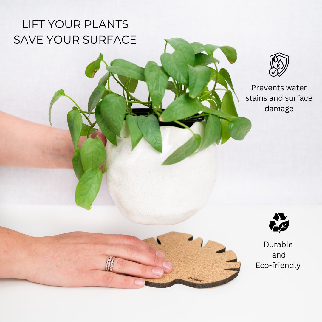 Kostr™ – Set of 4 Sustainable Cork Plant Coasters - Ed's Plant Shop