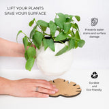 Kostr™ – Set of 4 Sustainable Cork Plant Coasters - Ed's Plant Shop