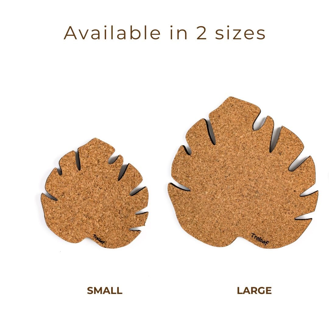 Kostr™ – Set of 4 Sustainable Cork Plant Coasters - Ed's Plant Shop