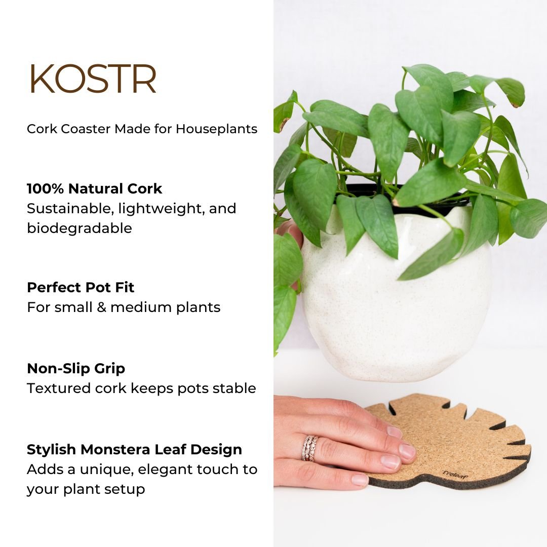 Kostr™ Cork Plant Coasters | Sustainable Monstera Leaf Set of 4