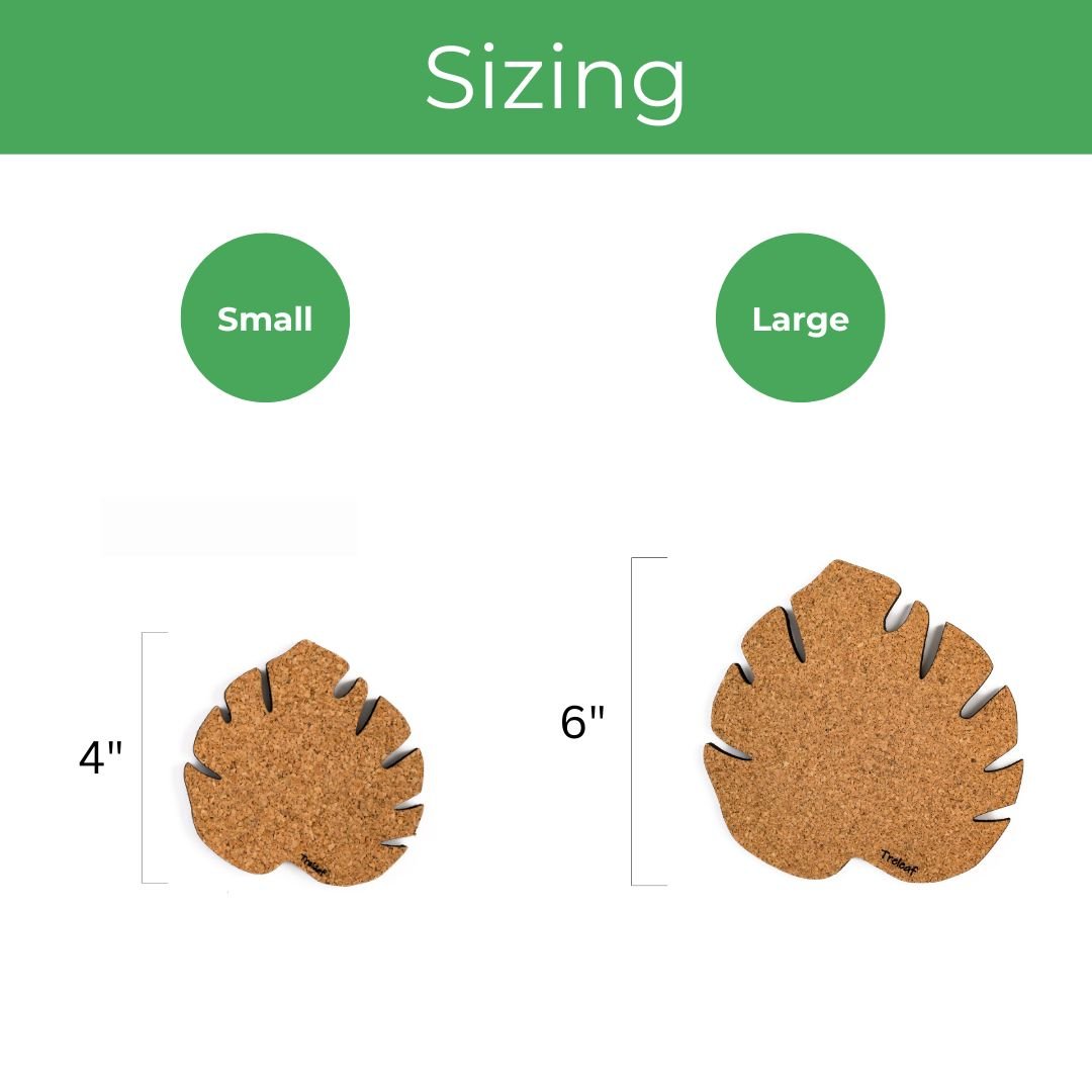 Kostr™ – Set of 4 Sustainable Cork Plant Coasters - Ed's Plant Shop