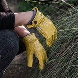 Kunar Glove: Premium All - Purpose Work Glove: Natural/Yellow - Ed's Plant Shop