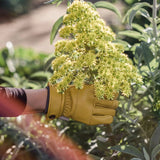 Kunar Glove: Premium All - Purpose Work Glove: Natural/Yellow - Ed's Plant Shop