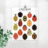 Ladybug Species ID Chart - Insects Fauna Art Print 8x10 - Ed's Plant Shop