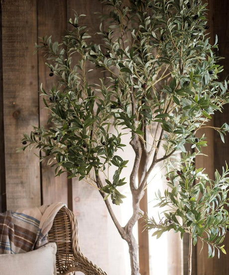 Large Artificial Olive Tree 94" Tall In Pot - Ed's Plant Shop