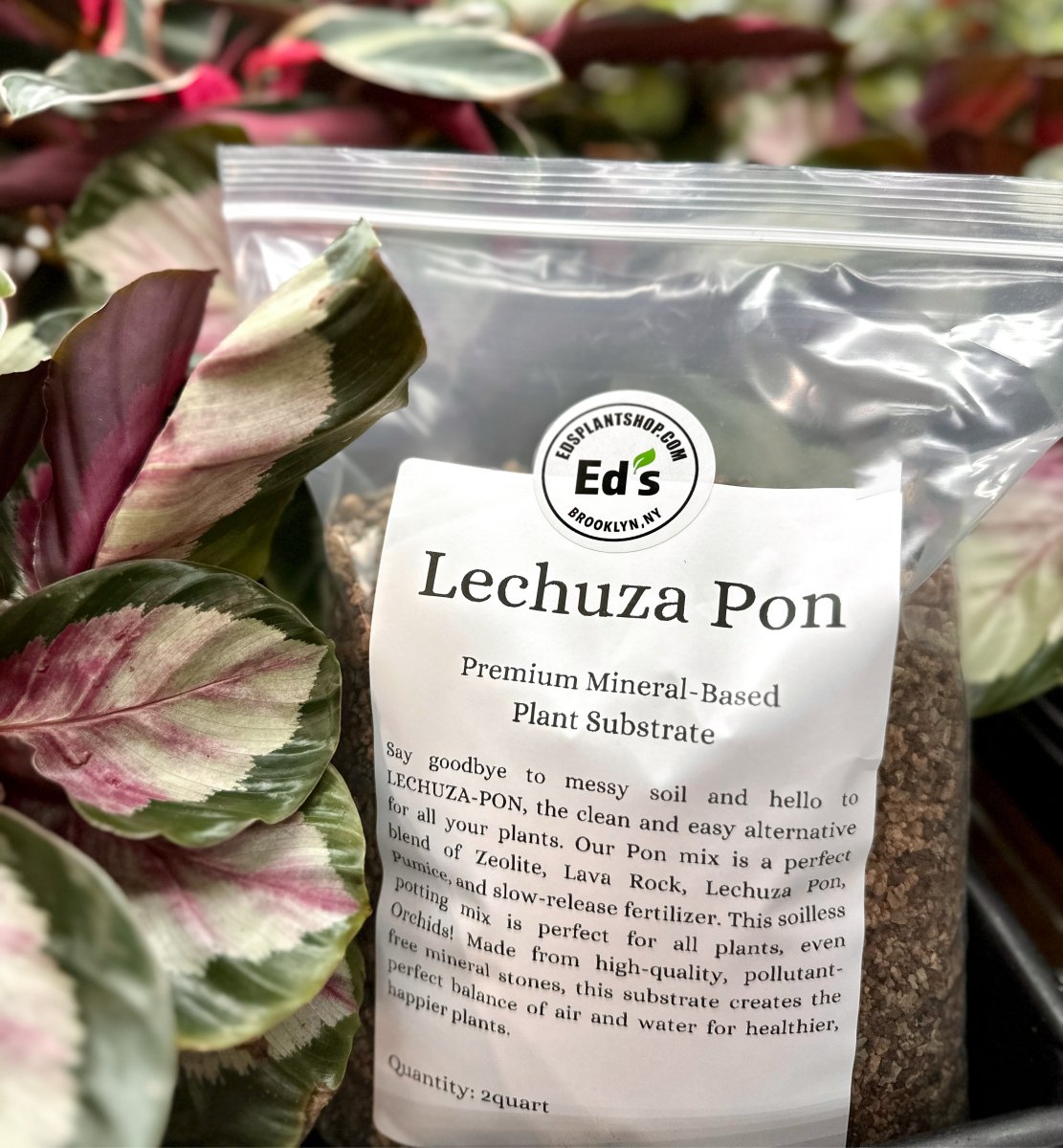 LECHUZA-PON Soilless Potting Mix | Easy, Clean Plant Care Solution