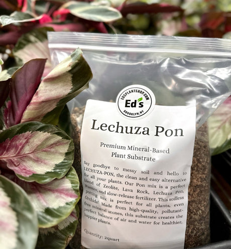 LECHUZA - PON Soilless Potting Mix 2 Quarts | Clean & Effective - Ed's Plant Shop