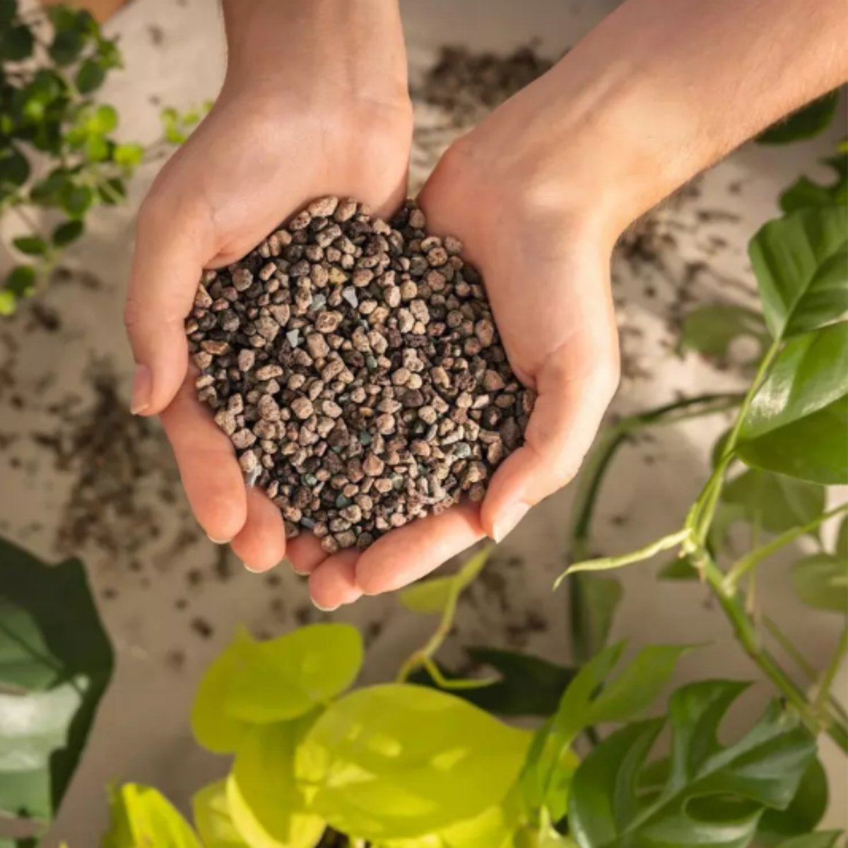 LECHUZA-PON Soilless Potting Mix | Easy, Clean Plant Care Solution
