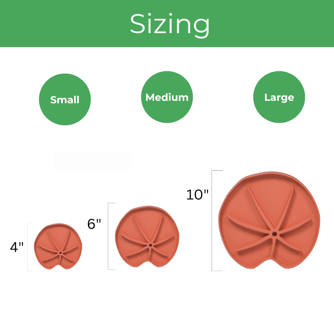 plant saucer sizes Small (4")- Set of 4 / Green
