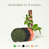 Lili Saucer – Stylish Lily Pad Plant Saucer for Drainage, Root Rot Prevention & Humidity - Ed's Plant Shop