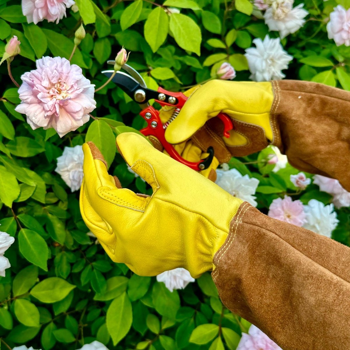 Rostain Flower-IT08 Gardening Gloves – Washable, Waterproof Natural Latex, Size 8, Off-White