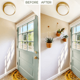 Loop Hanging Planter in Forest – Leak - Proof, 360° Drainage Hanging Pot - Ed's Plant Shop