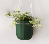 Loop Hanging Planter in Forest – Leak - Proof, 360° Drainage Hanging Pot - Ed's Plant Shop