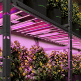 Mars Hydro ADlite Deep Red 27W + Blue 27W Supplemental LED Grow Light Bars (Set of 2) - Ed's Plant Shop