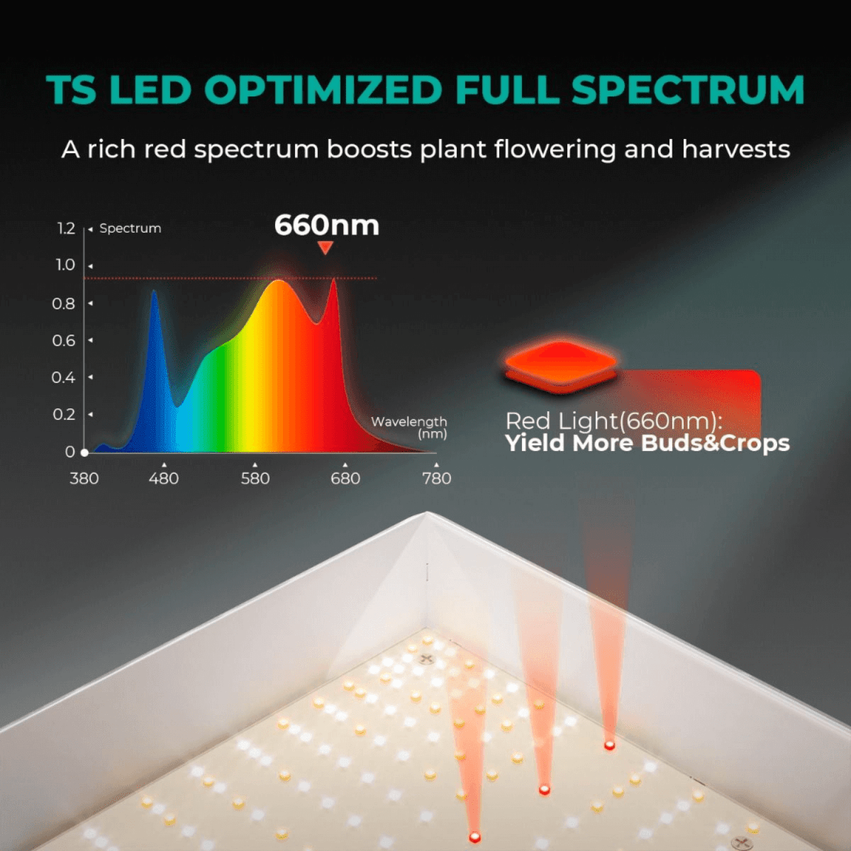Mars Hydro TSW 2000 300W Dimmable Full Spectrum LED Grow Light - Ed's Plant Shop