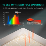 Mars Hydro TSW 2000 300W Dimmable Full Spectrum LED Grow Light - Ed's Plant Shop