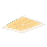 Mars Hydro TSW 2000 300W LED grow light overhead showing full panel design