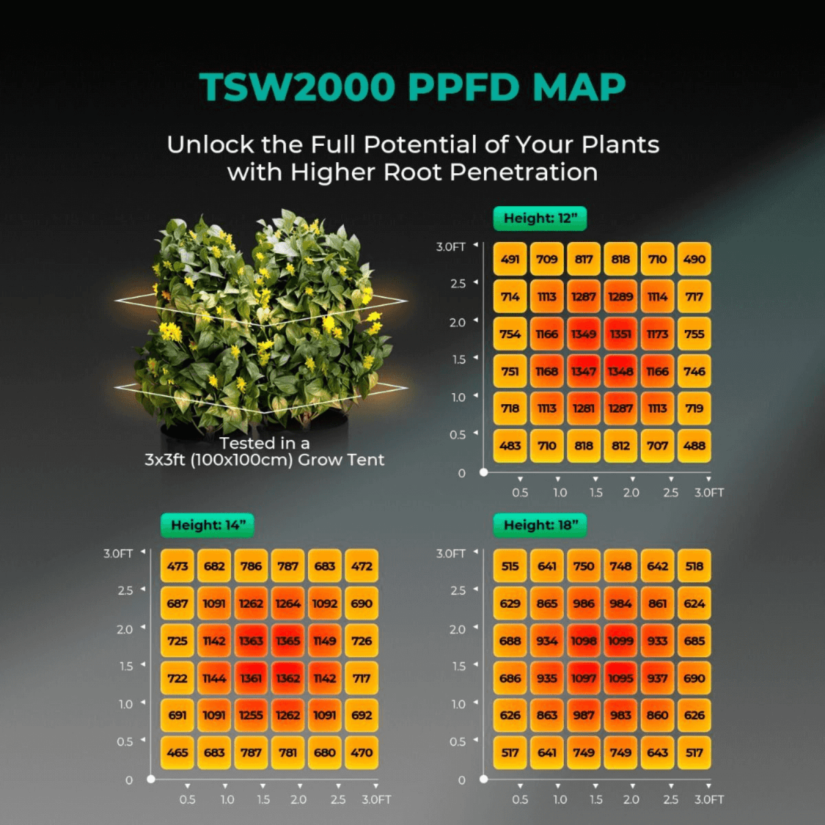 Mars Hydro TSW 2000 300W Dimmable Full Spectrum LED Grow Light - Ed's Plant Shop