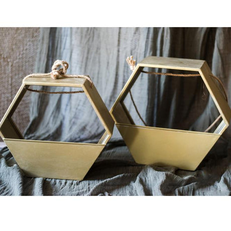 Modern Gold Hexagon Hanging Planter - Ed's Plant Shop