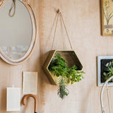 Modern Gold Hexagon Hanging Planter - Ed's Plant Shop