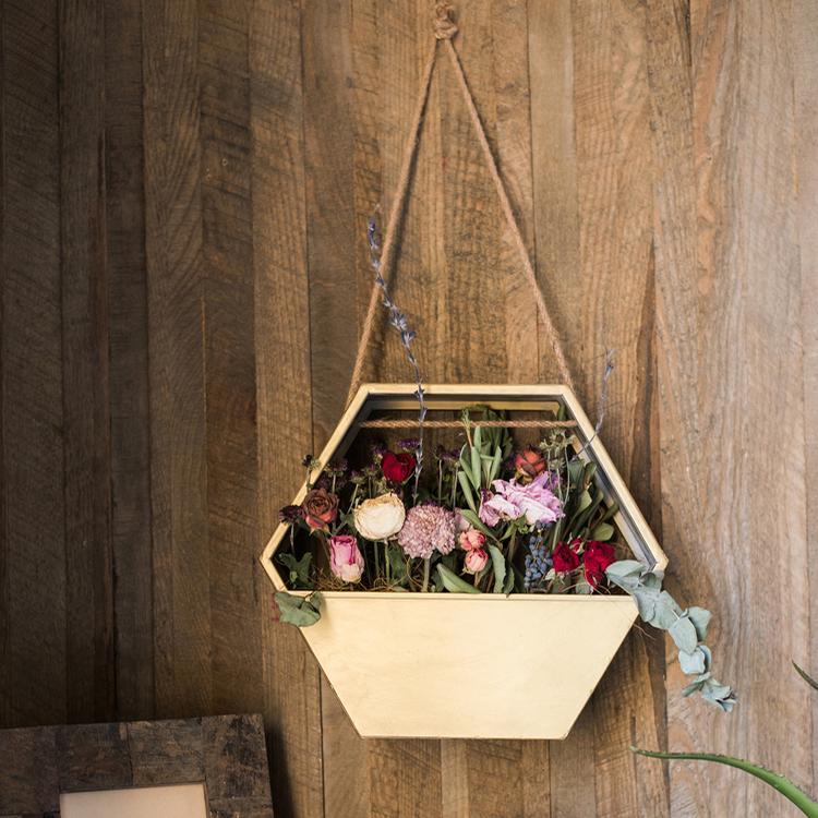 Modern Gold Hexagon Hanging Planter - Ed's Plant Shop