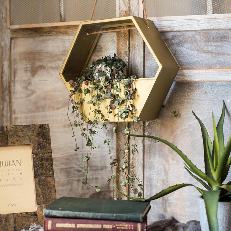 Modern Gold Hexagon Hanging Planter - Ed's Plant Shop