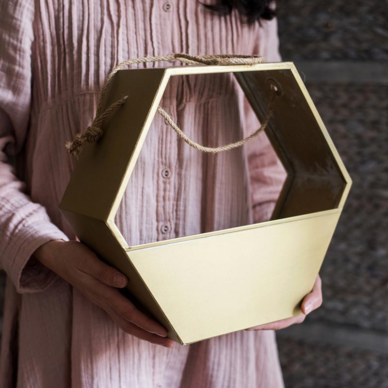 Modern Gold Hexagon Hanging Planter - Ed's Plant Shop