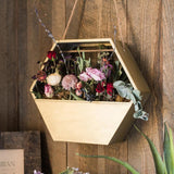 Modern Gold Hexagon Hanging Planter - Ed's Plant Shop