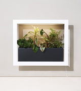 Modern Sprout Black and White Planter Box | Holds Three 4" Plants - Ed's Plant Shop