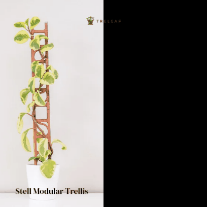 money plant climber images Treleaf Stella Extension Kit Cedar Modular Collection