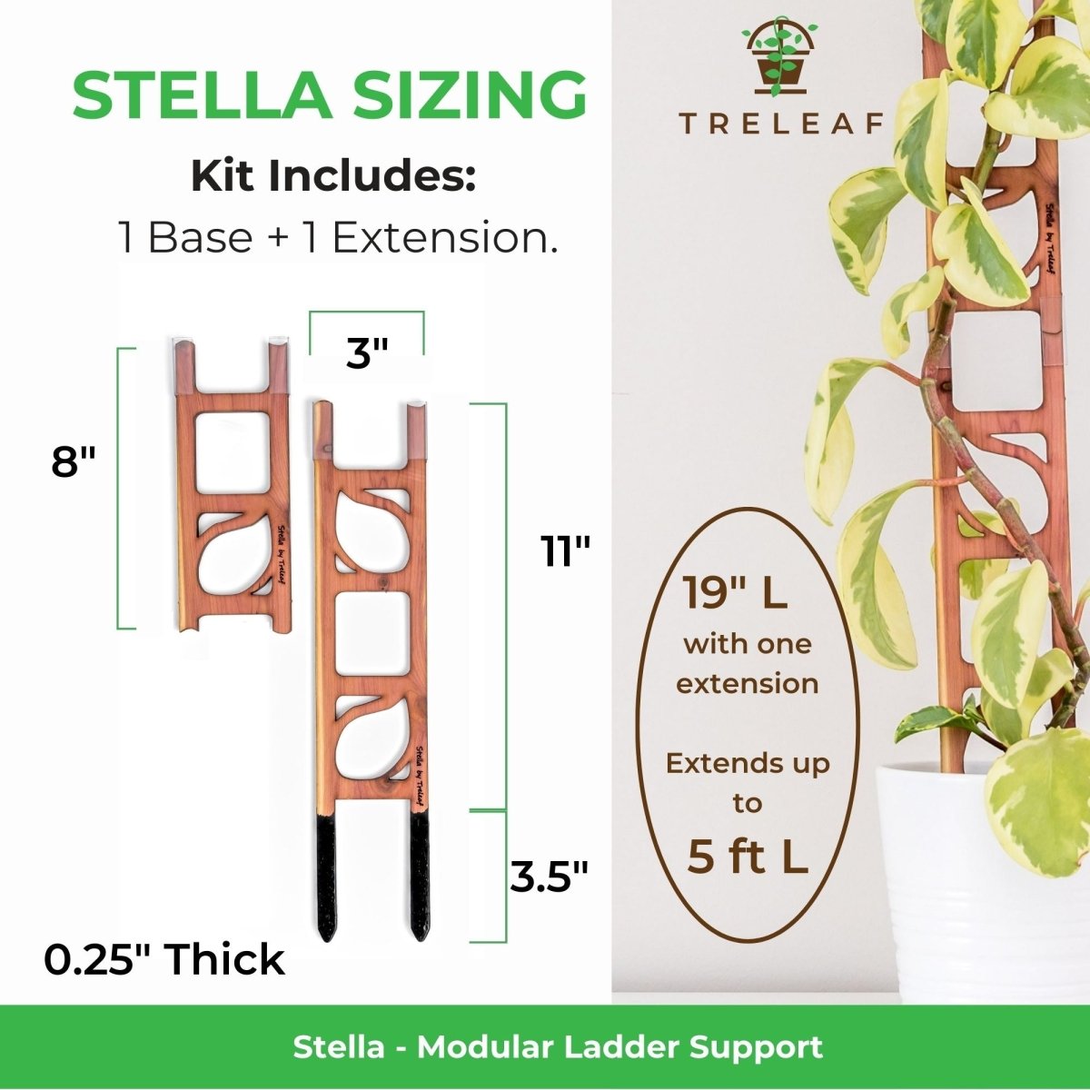 Modular Plant Support & Trellis - Stella - Ed's Plant Shop