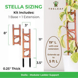 Modular Plant Support & Trellis - Stella - Ed's Plant Shop