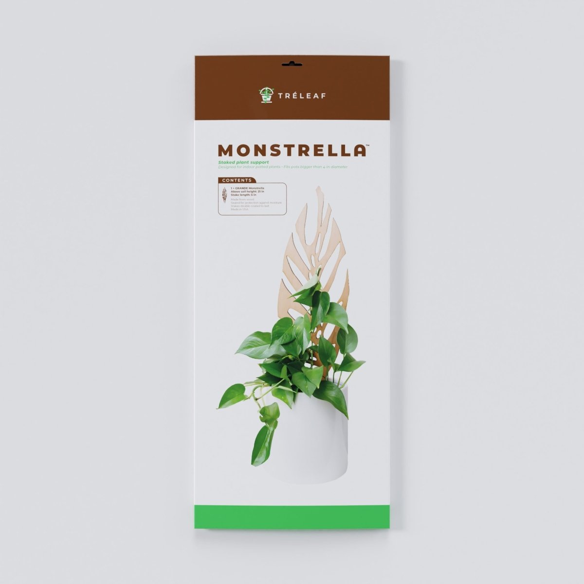 Monstrella - Monstera Plant Support & Trellis - Ed's Plant Shop