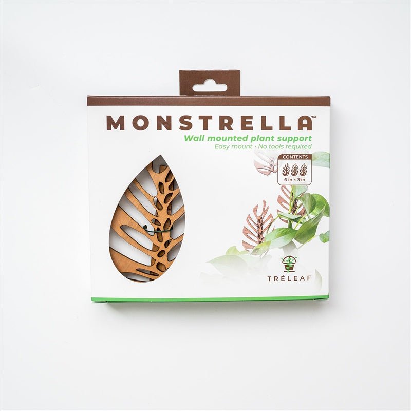 Monstrella - Wall Mounted Plant Support for Climbing Vines - Ed's Plant Shop