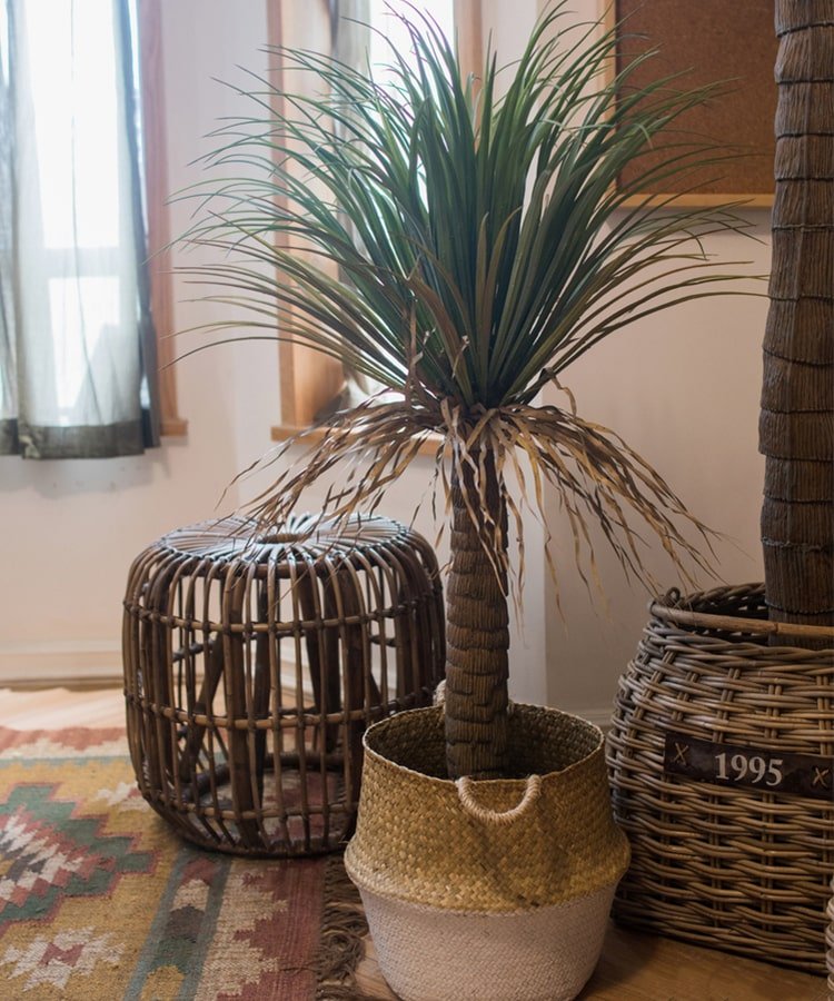 Moroccan Artificial Palm Tree In Pot - Ed's Plant Shop