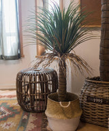 Moroccan Artificial Palm Tree In Pot - Ed's Plant Shop