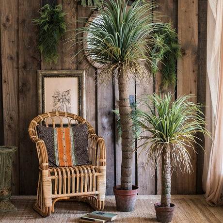 Moroccan Artificial Palm Tree In Pot - Ed's Plant Shop